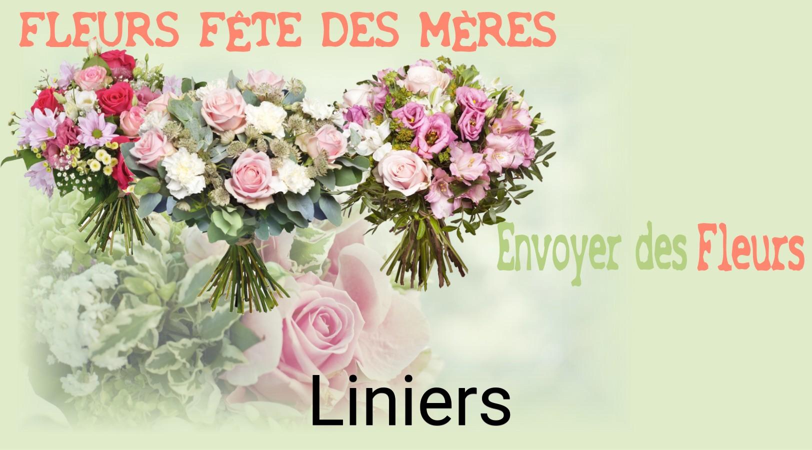Bouquet de Fête des Mères livré à Liniers